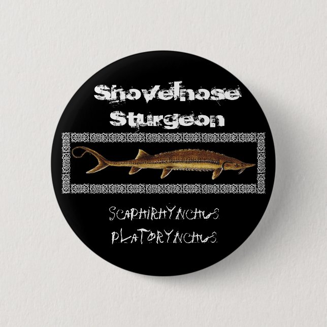 Stör-Knopf - Shovelnose Stör Button (Vorderseite)