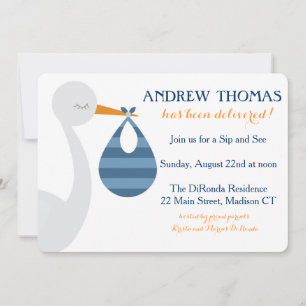 Storch-Baby-Einladung/Baby-Mitteilung Ankündigung