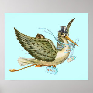 STORCH BABY JUNGE SHOWER, creme Poster