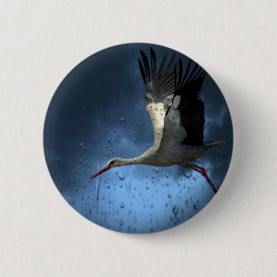 Storch Button