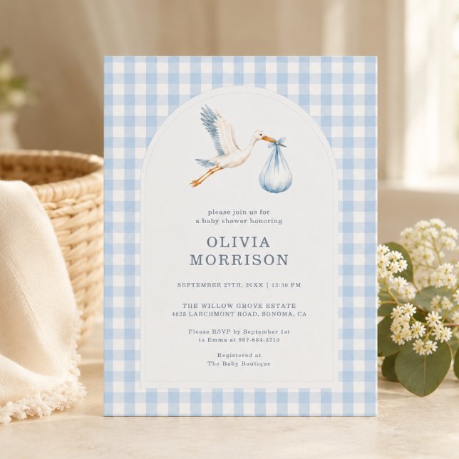 Storch Gingham Blau Junge Baby Shower Einladung (Von Creator hochgeladen)