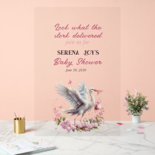 Storch liefert ein Baby Mädchen Acrylschild