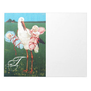 STORCH ZWILLINGS-BABYSHOWER, Rosa, Türkisblau Notizblock