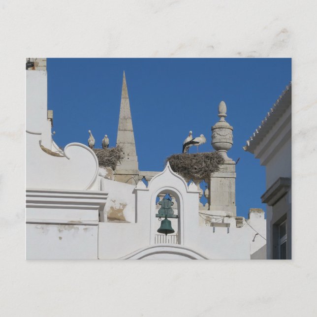 Störche bauen Nester auf der Kirche in der Altstad Postkarte (Vorderseite)