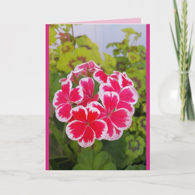 Storchschnabel Pelargonie Blumen Garten floral Kar Karte (Vorderseite)