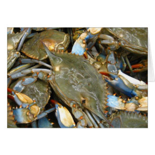 Stören Sie mich nicht,…, das ich mürrisch bin!