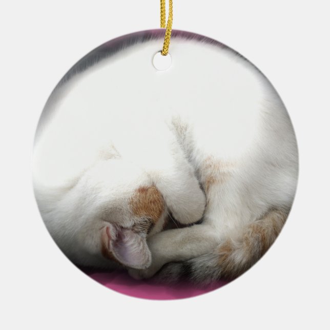Stören Sie nicht die Katzen-Verzierungen Keramik Ornament (Vorne)