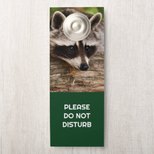 Stören Sie nicht die Niedliche Raccoon-Ruhe in ein Türanhänger