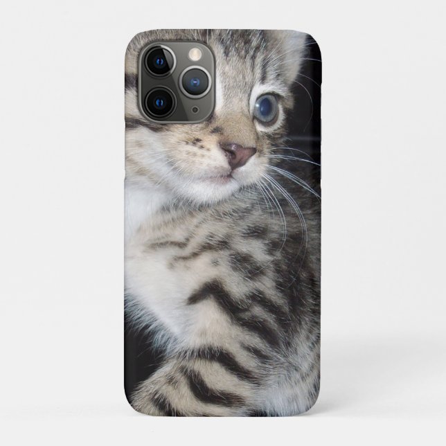 "Störenfried: Die Mischlinge Tabby Kitten Case-Mate iPhone Hülle (Rückseite)