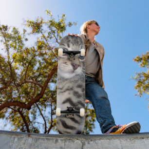 "Störenfried: Die Mischlinge Tabby Kitten Skateboard