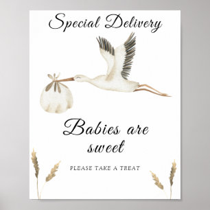 Stork Baby Dusche - Babys sind süß Poster