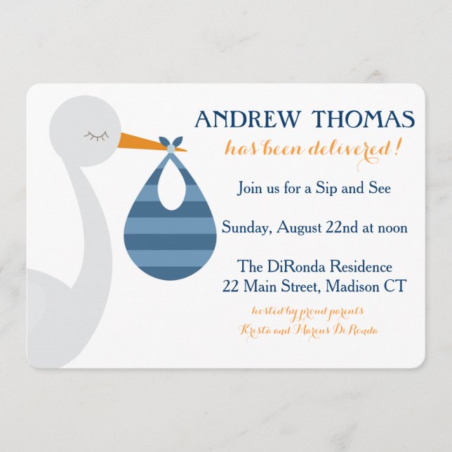 Stork Baby Einladung / Baby Ankündigung (Vorderseite)