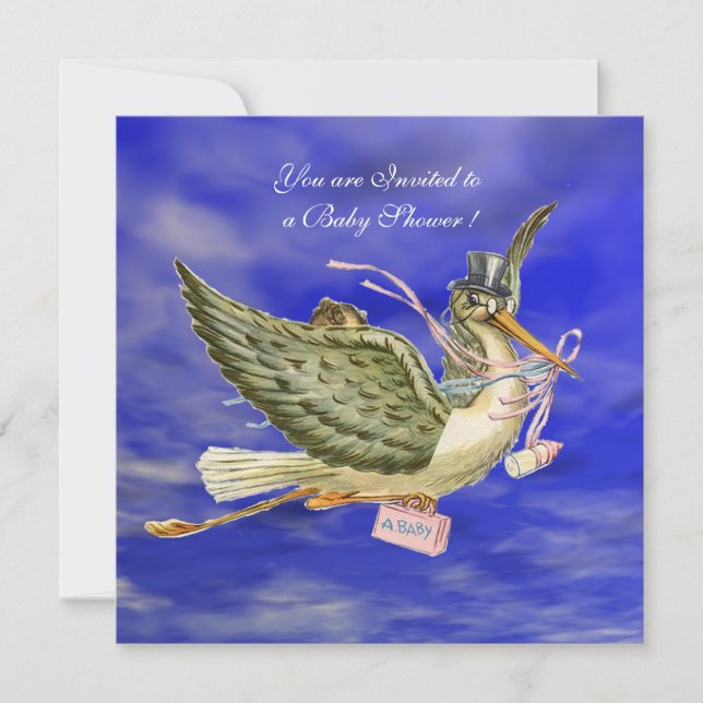 STORK BABY GIRL SHOWER EINLADUNG (Vorderseite)