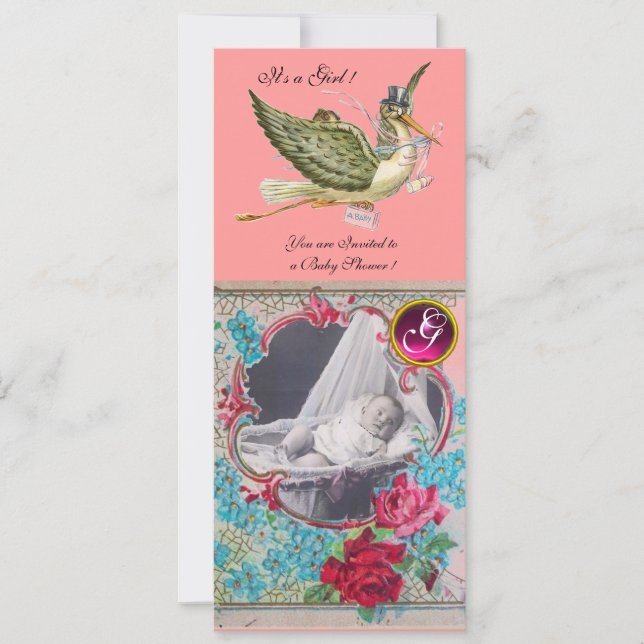 STORK BABY SHOWER MONOGRAM FOTOVORLAGE EINLADUNG (Vorderseite)