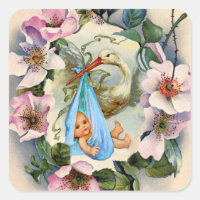 STORK BOY BABY SHOWER CROWING with PINK WILD ROSE