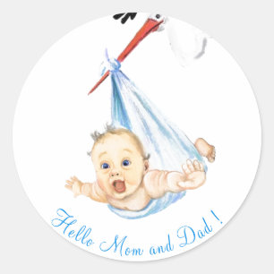 Stork Carry Baby Funny Stickers