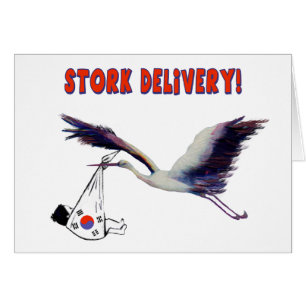 Stork Delivery! Geburtsankündigung der koreanische
