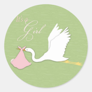 Stork Delivery Girl Sticker