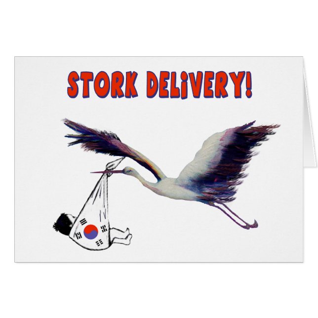 Stork Delivery! Wir Adoptierte aus Korea (Vorderseite (Horizontal))