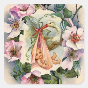 STORK GIRL BABY SHOWER CROWING MIT PINK WILD ROSE QUADRATISCHER AUFKLEBER