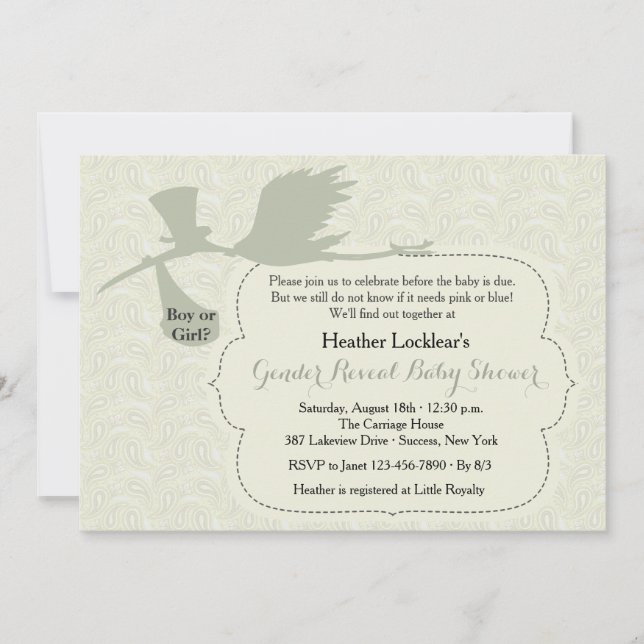 Stork ist auf dem Weg Gender Reveal Baby Dusche Einladung (Vorderseite)