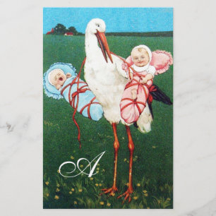 STORK TWIN BABY SHOWER MONOGRAM BRIEFPAPIER