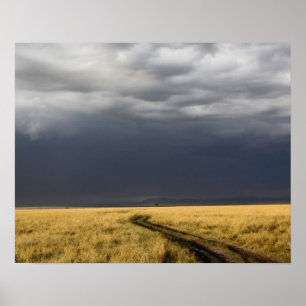 Storm clouds and road across gassy plains of the poster