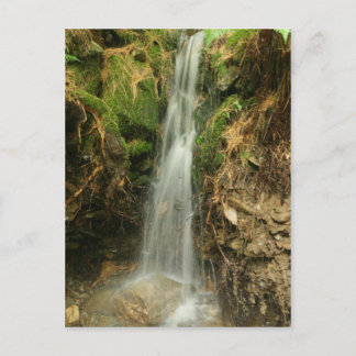 Storm-Runoff-Postkarte Postkarte