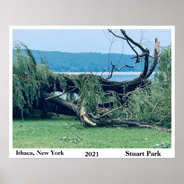 STORM STUART PARK 2021 POSTER (Vorne)