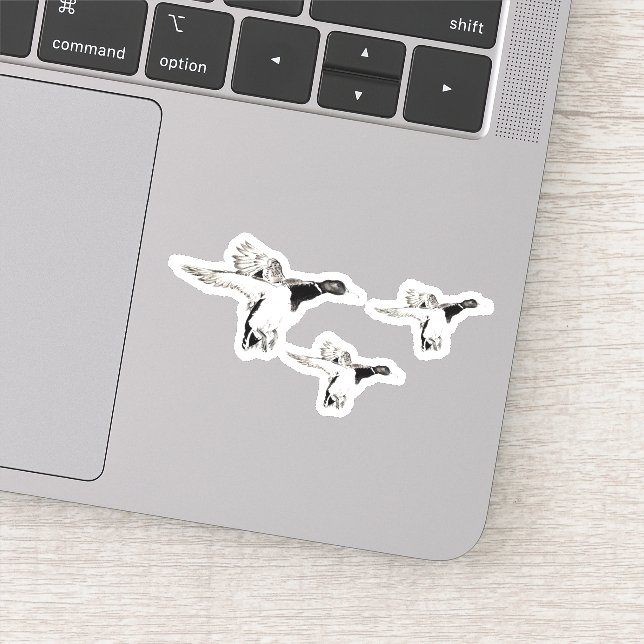 Stormo di germani reali aufkleber (Detail)