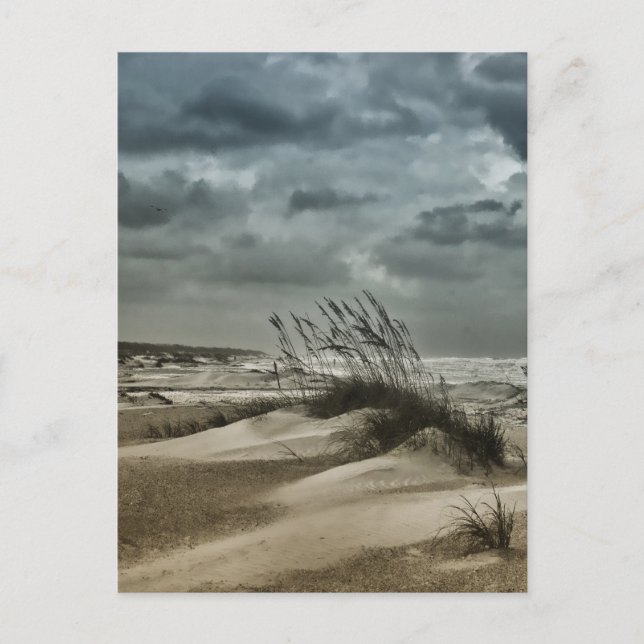 Stormy Anastasia Postkarte (Vorderseite)