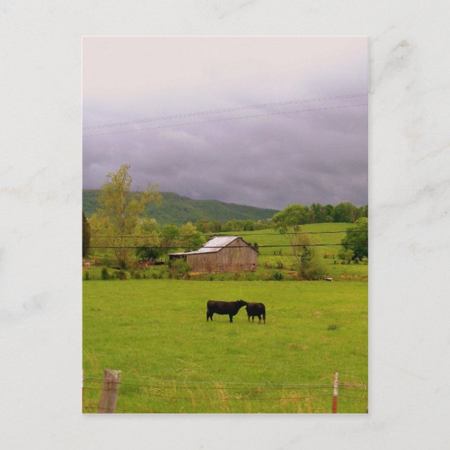 Stormy Day Postkarte (Vorderseite)