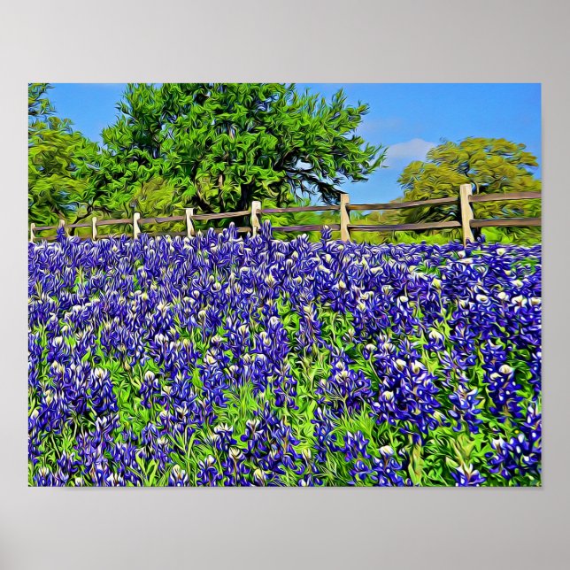 Storybook Bluebonnet Blume Fotografie Poster (Vorne)