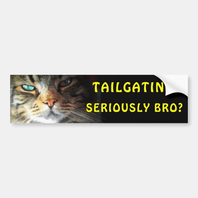 Stoßkatze: Tailgating? Ernsthaft Bro? Meme Autoaufkleber (Vorne)
