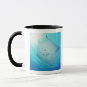 Strahl Tasse