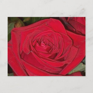 Strahlend rote Rosen-Postkarte Postkarte