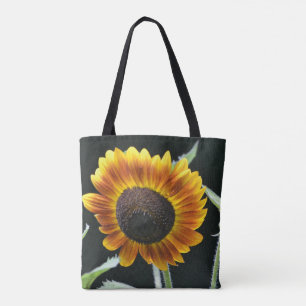 Strahlende goldene Sonnenblume