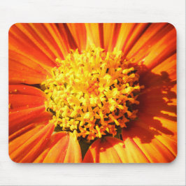 Strahlende Orange Blume Makro Mauspad Foto