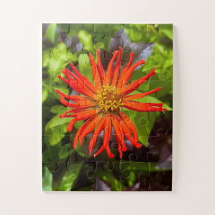 Strahlende Orange Zinnia   Florales Tribut an Alzh Puzzle