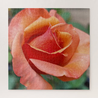 Strahlende Rose – Blütenblätter in Harmonie Puzzle