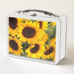 Strahlende Sonnenblumen-Blumenszene Metall Brotdose