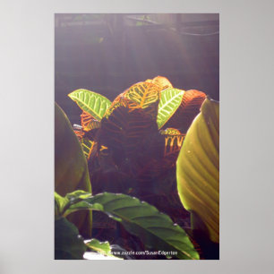 Strahln-Plakat Poster