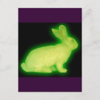 STRAHLUNGSRABBIT