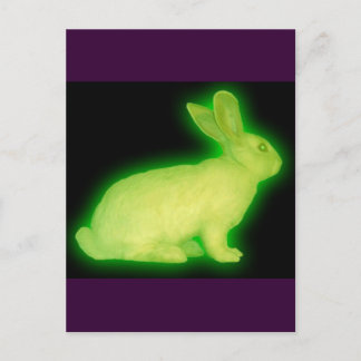 STRAHLUNGSRABBIT POSTKARTE