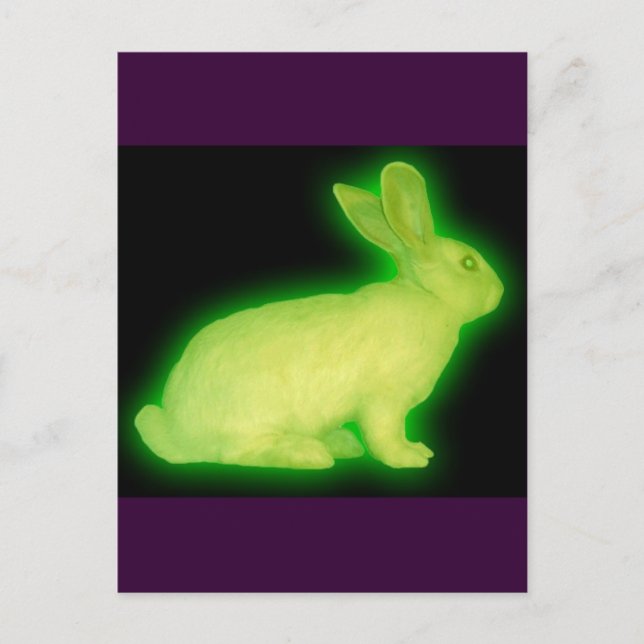 STRAHLUNGSRABBIT POSTKARTE (Vorderseite)