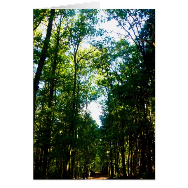 Straight and Narrow (Vorne)