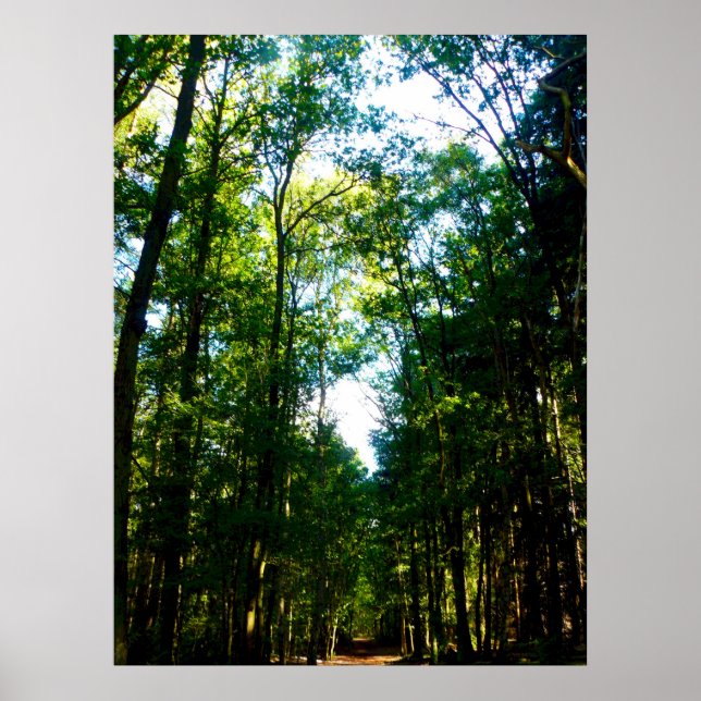 Straight and Narrow Poster (Vorne)