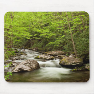 Straight Fork Fließt Durch Den Wald Mousepad
