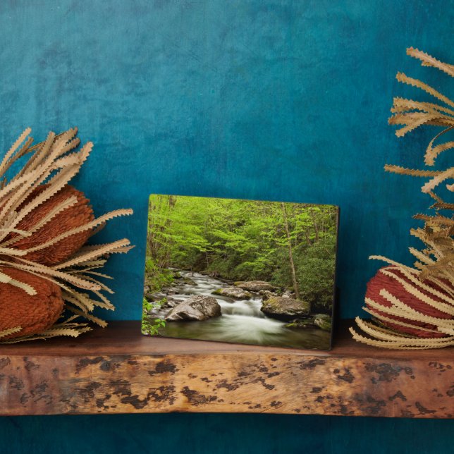Straight Gabel fließt durch den Wald Fotoplatte (Seite)