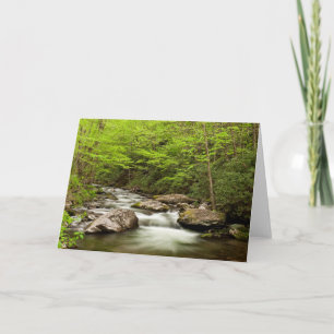 Straight Gabel fließt durch den Wald Karte